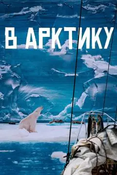В Арктику